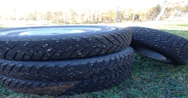 Hästtransporter  fordon & transport till salu i Valla - Annons 6