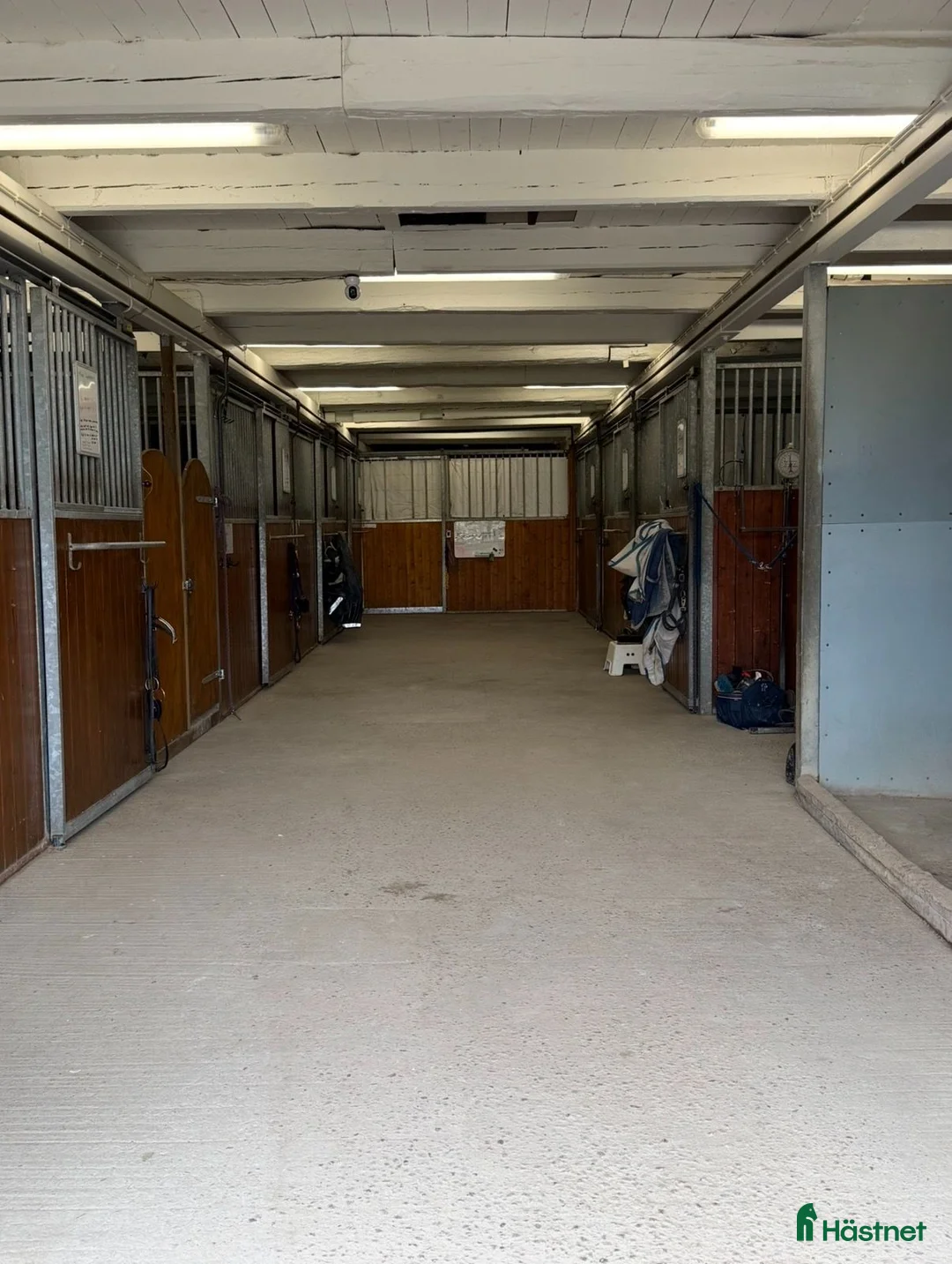  stallplats finnes: Boxplats,ridhus–hästgård mellan U-Sala o n:a Sthlm i Knivsta - Annons 4