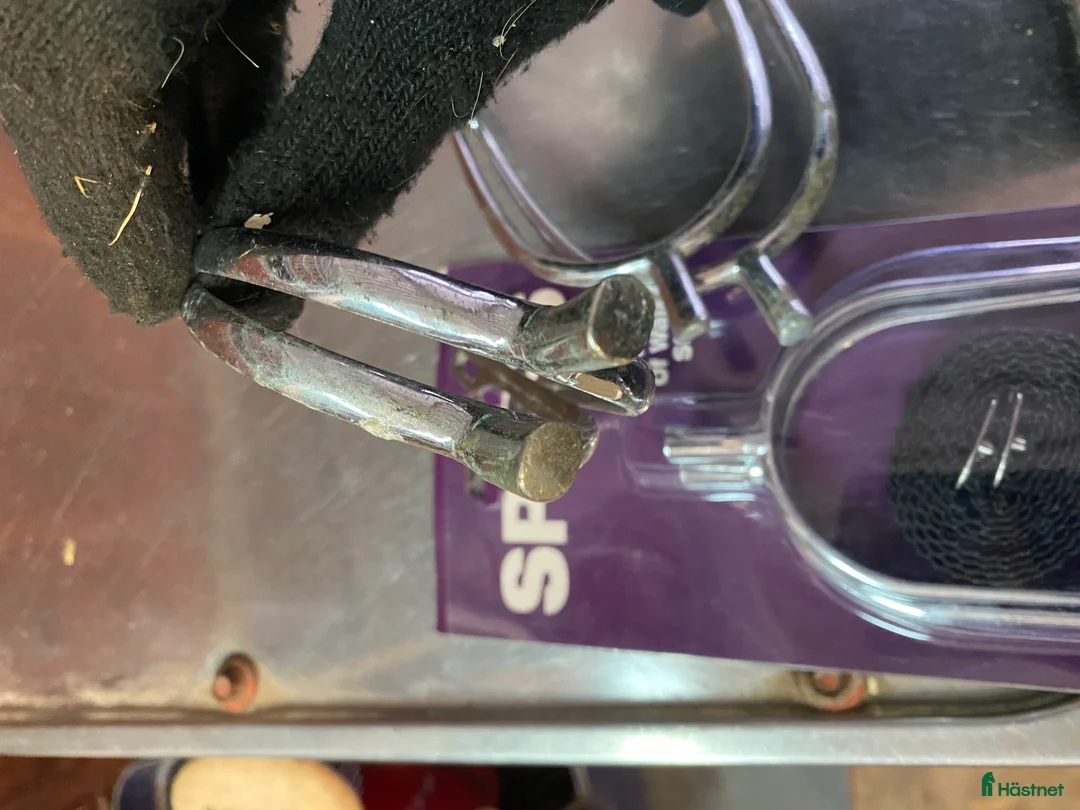 Övrig Hästutrustning hästutrustning till salu: Häst och stall utrustning  - Annons 13