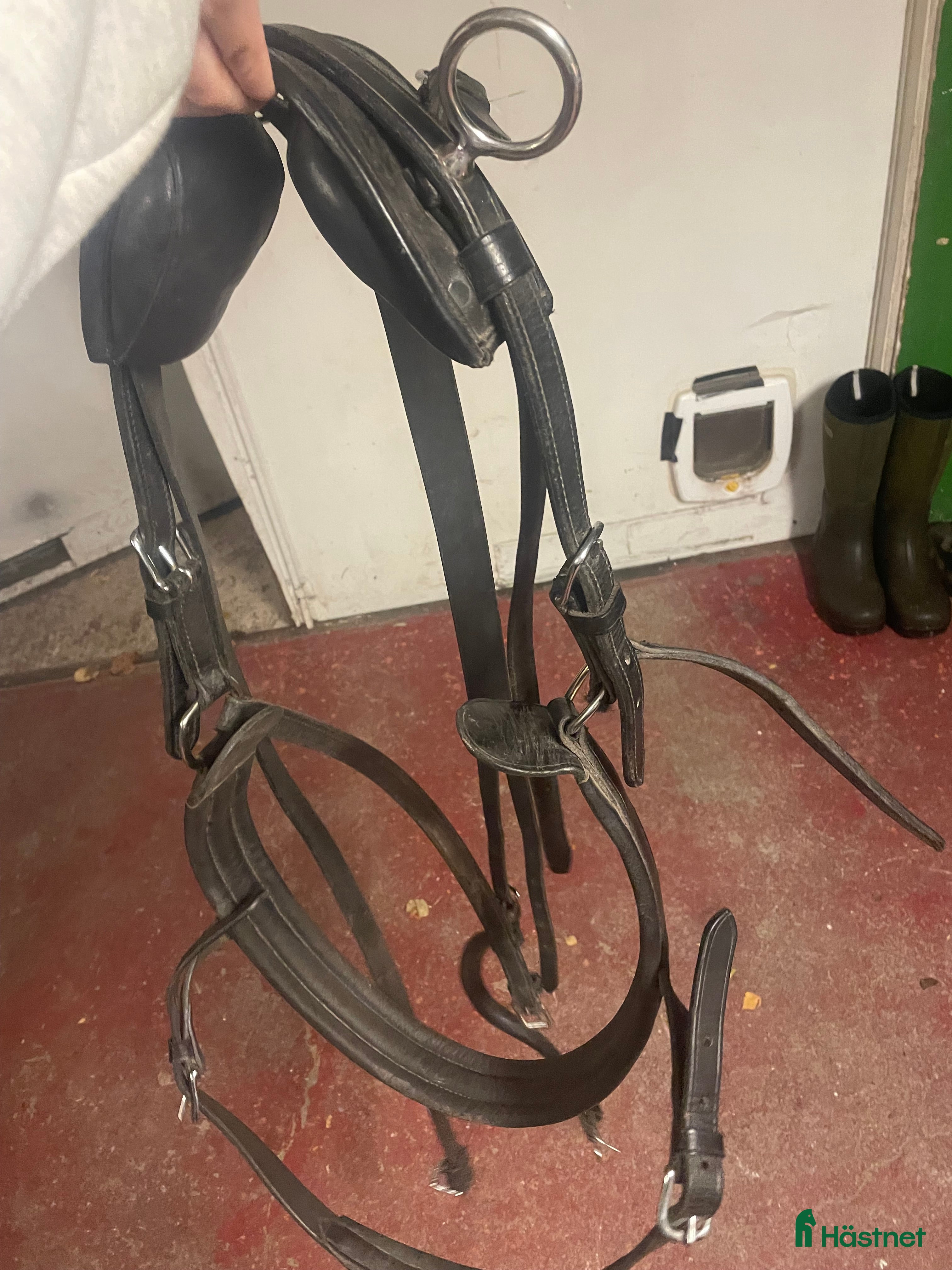 Övrig Hästutrustning hästutrustning till salu: Shettis utrustning  - Annons 2