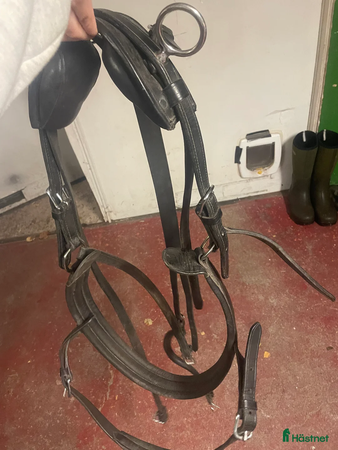 Övrig Hästutrustning hästutrustning till salu: Shettis utrustning  - Annons 1
