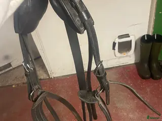 Övrig Hästutrustning hästutrustning Shettis utrustning - Annons 7