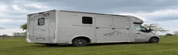 Hästlastbilar  fordon & transport till salu: Renault Master JK - hästbil HORSEPARTNER - Annons 3