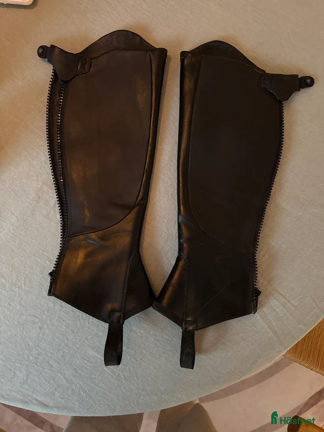 Övrig Ryttarutrustning ryttarutrustning till salu: Ariat Palisade chaps i Västervik - Annons 5