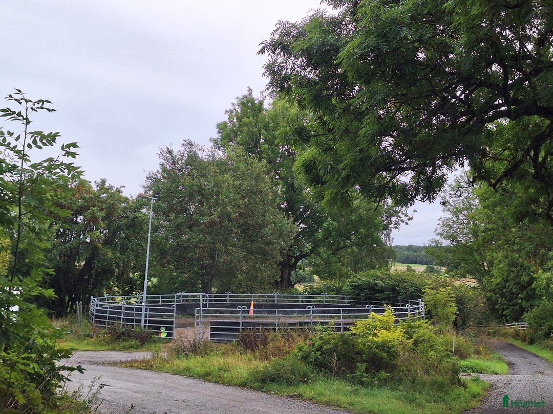  stallplats finnes: Stallplats Ekeby Säteri I Tungelsta  i Tungelsta - Annons 5