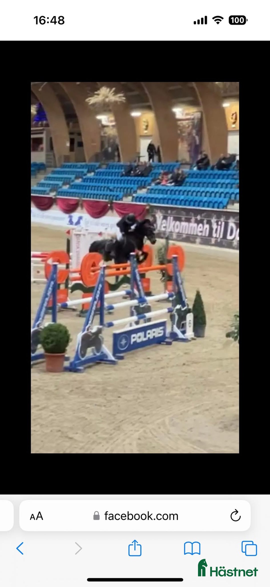 Hoppning hästar till salu: Fantastisk SM ponny till salu! i Sjöbo - Bild 4