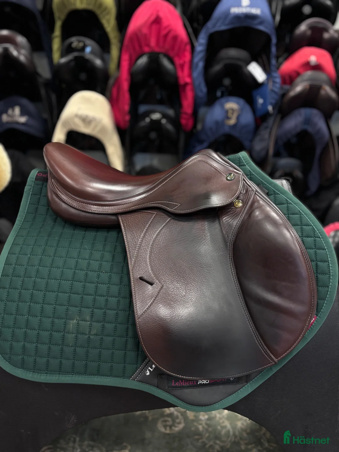 Sadlar hästutrustning till salu: Prestige Versailles ✨ - Annons 2