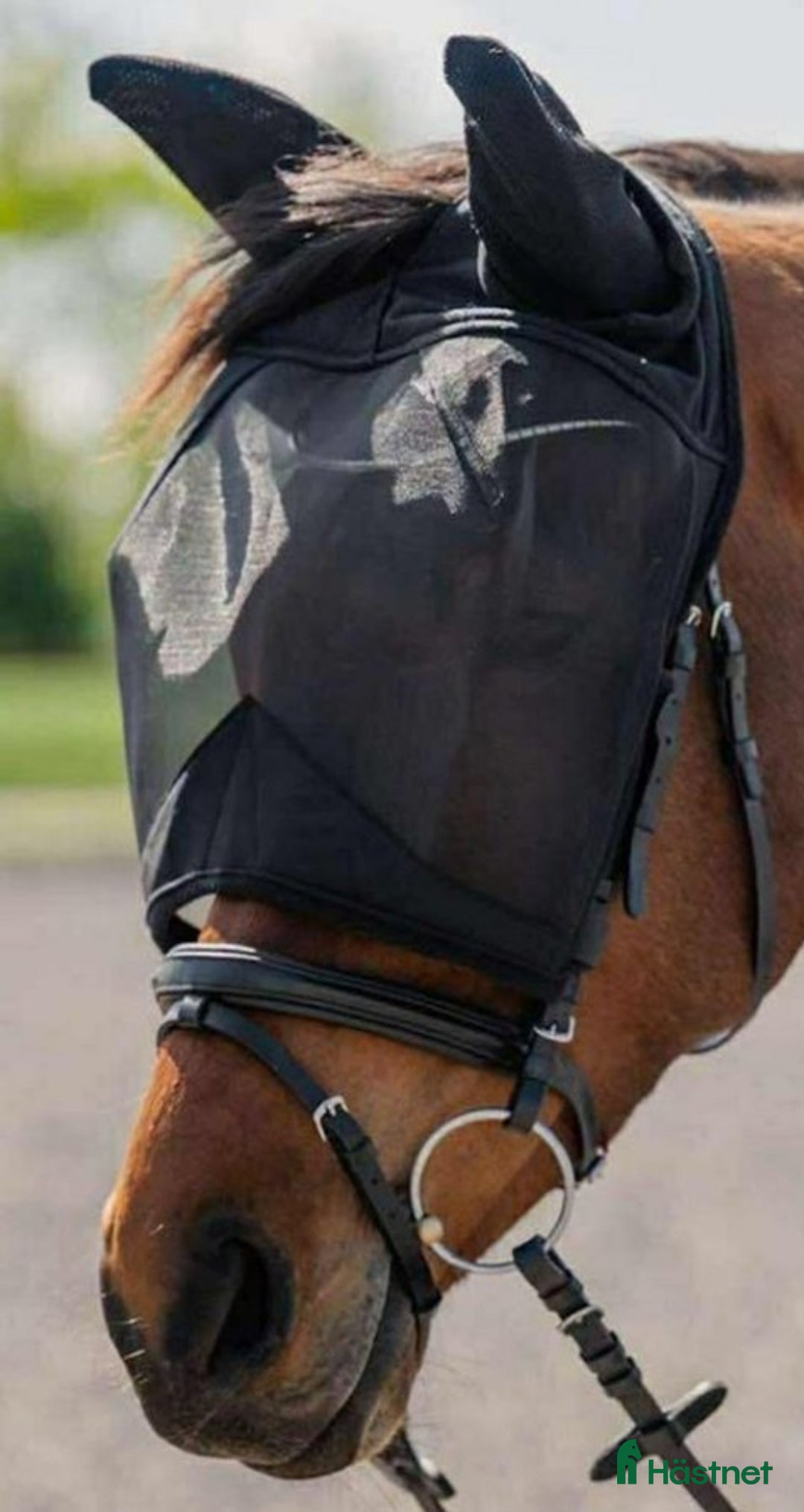 Övrig Hästutrustning hästutrustning till salu: Flughuvor olika modeller i Kristianstad - Annons 2