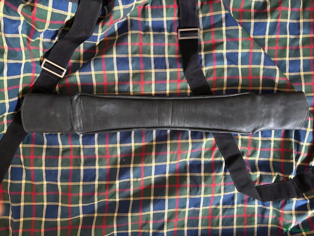 Sadeltillbehör hästutrustning till salu: Dressyrgjord 80 cm - Annons 2