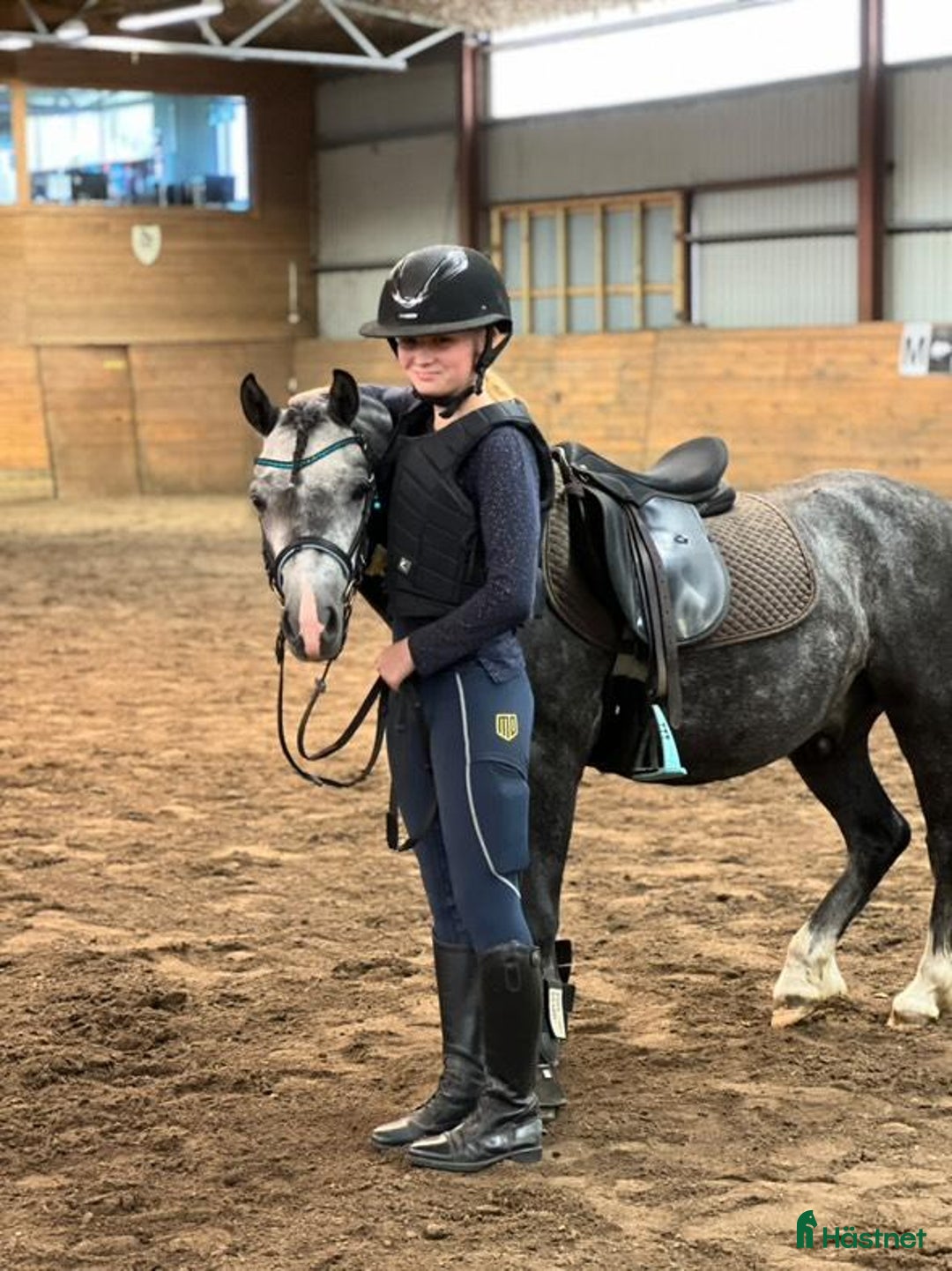 Allround hästar till salu: Trevlig Welsponny  i Vingåker - Annons 6