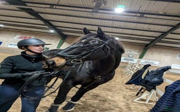 Hoppning hästar till salu: Fin läromästare till salu i Jönköping - Bild 2