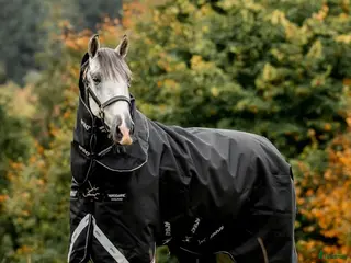 Täcken hästutrustning till salu: Vintertäcke Amigo Horseware 250g i Vellinge - Annons 2