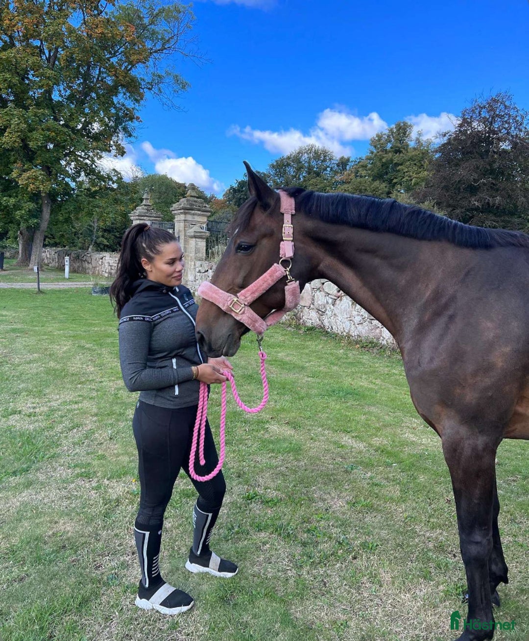  medryttarhäst finnes: Medryttare sökes till underbart sto i Allerum - Annons 3