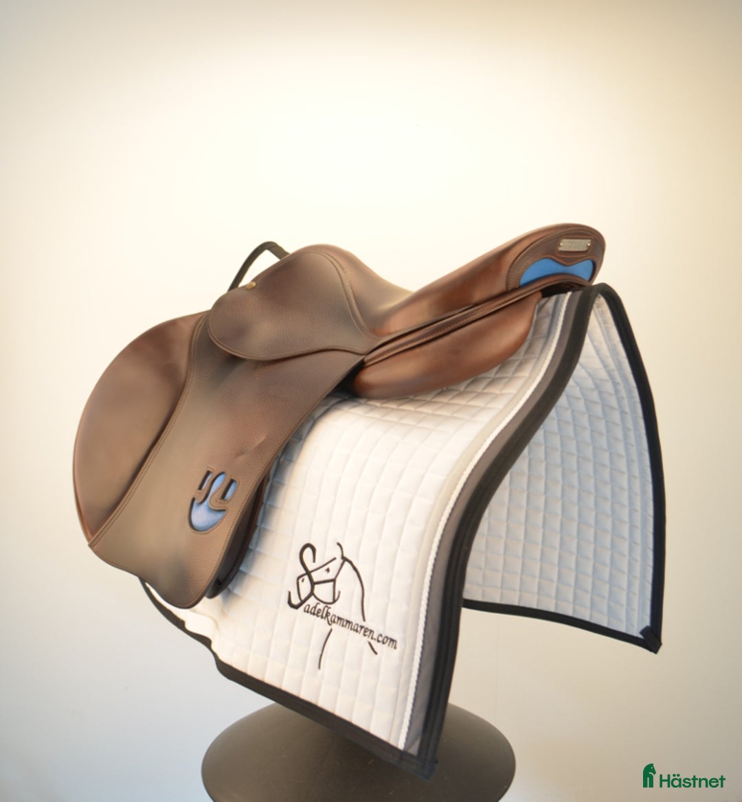 Sadlar hästutrustning till salu: Bruno Delgrange Partition i Sparsör - Annons 2