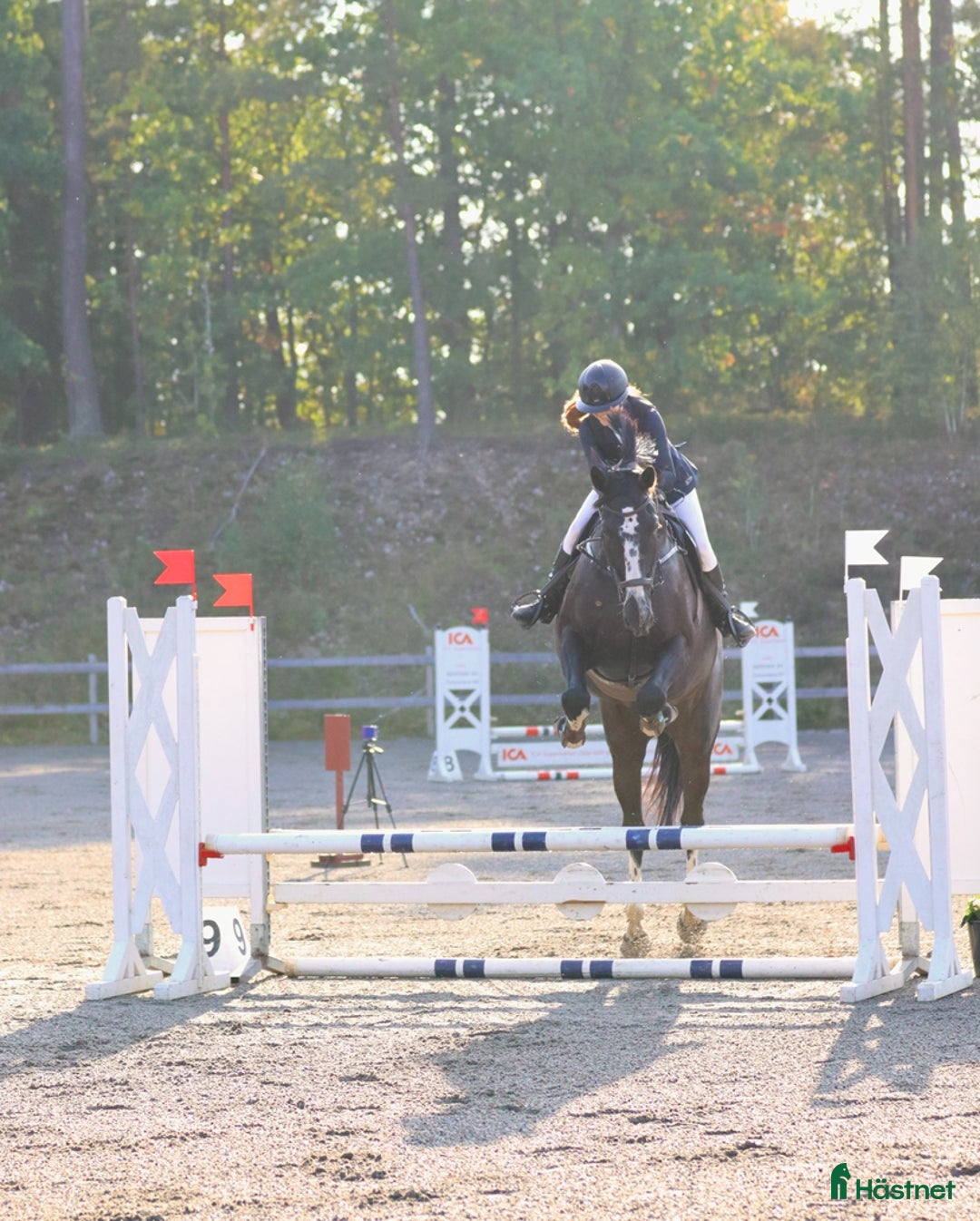  medryttarhäst finnes: Medryttare sökes till Helge 1–2 gånger i veckan i Hanaskog - Annons 10
