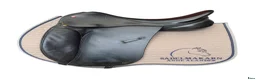 Sadlar hästutrustning till salu: Jeffries Falcon dressyr 18" - Annons 1
