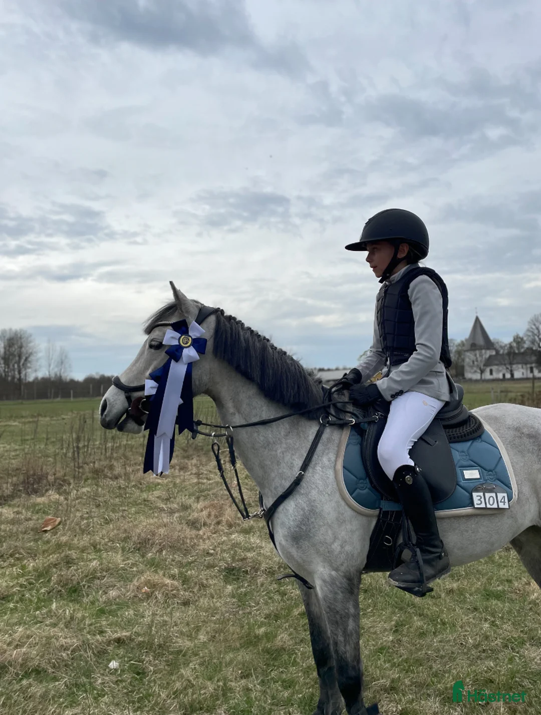 Hoppning hästar till salu: Lovande Kulltorpssto i Lagan - Annons 2