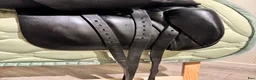Sadlar hästutrustning till salu: Stubben dressursal  - Annons 15