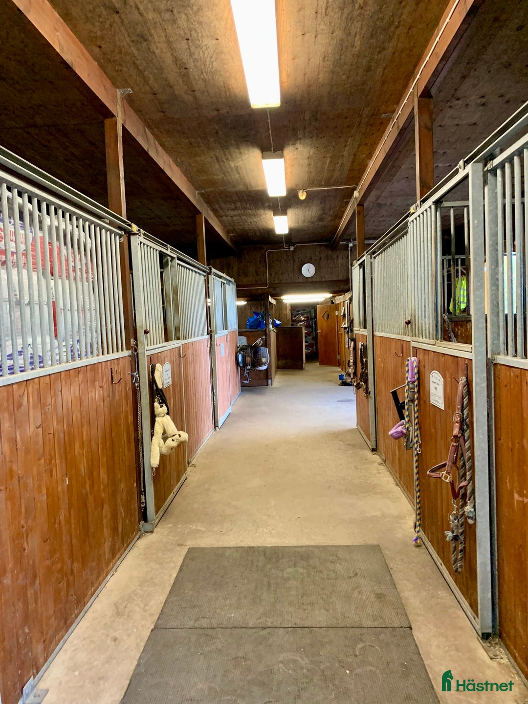  stallplats finnes: Lediga stallplatser i mysigt stall i Habo - Annons 3