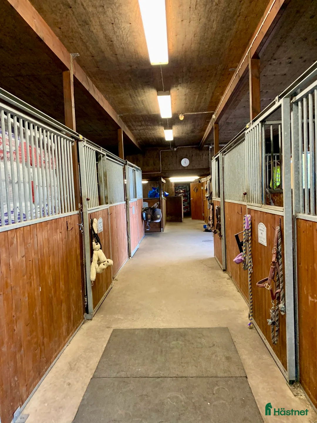  stallplats finnes: Lediga stallplatser i mysigt stall i Habo - Annons 3