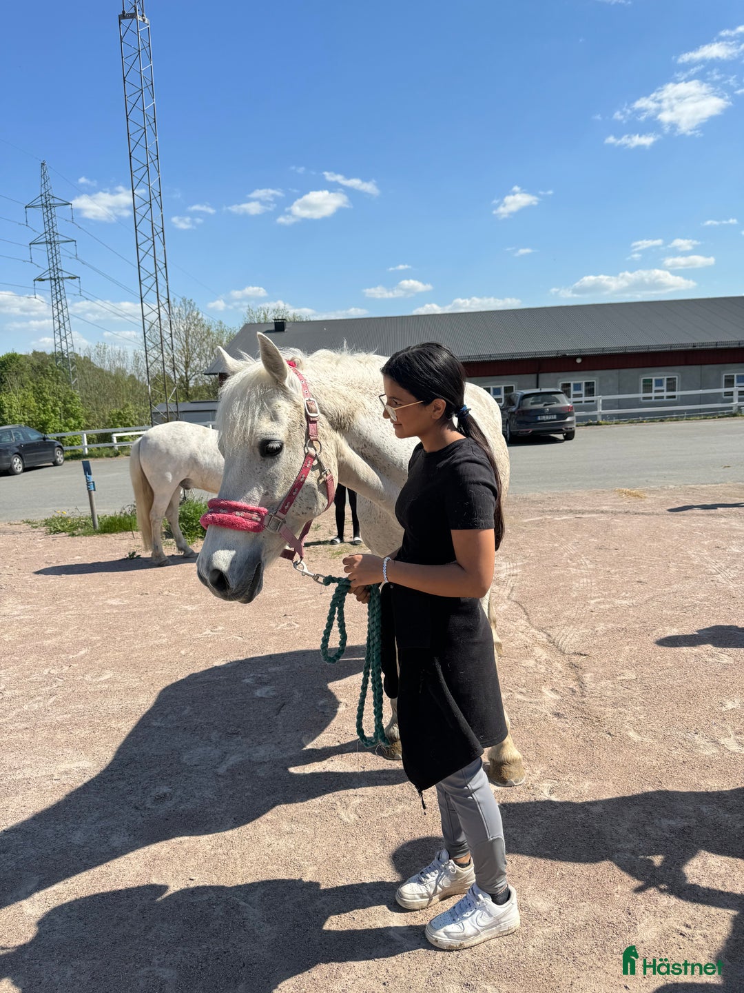  foderhäst sökes: Söker foderhäst i Jönköping - Annons 3