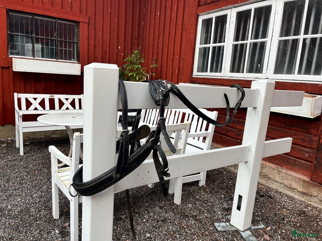Körselar körning till salu: Paket med körselar - Annons 2