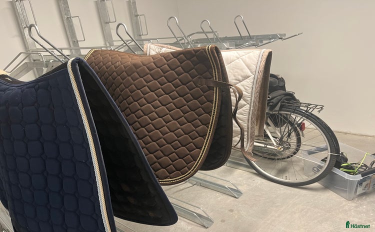 Schabrak & Vojlockar hästutrustning till salu i Sollentuna - Annons 11