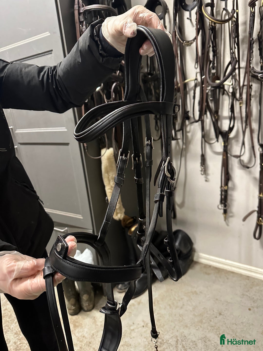Träns hästutrustning till salu: Antares träns i Norrtälje - Annons 2