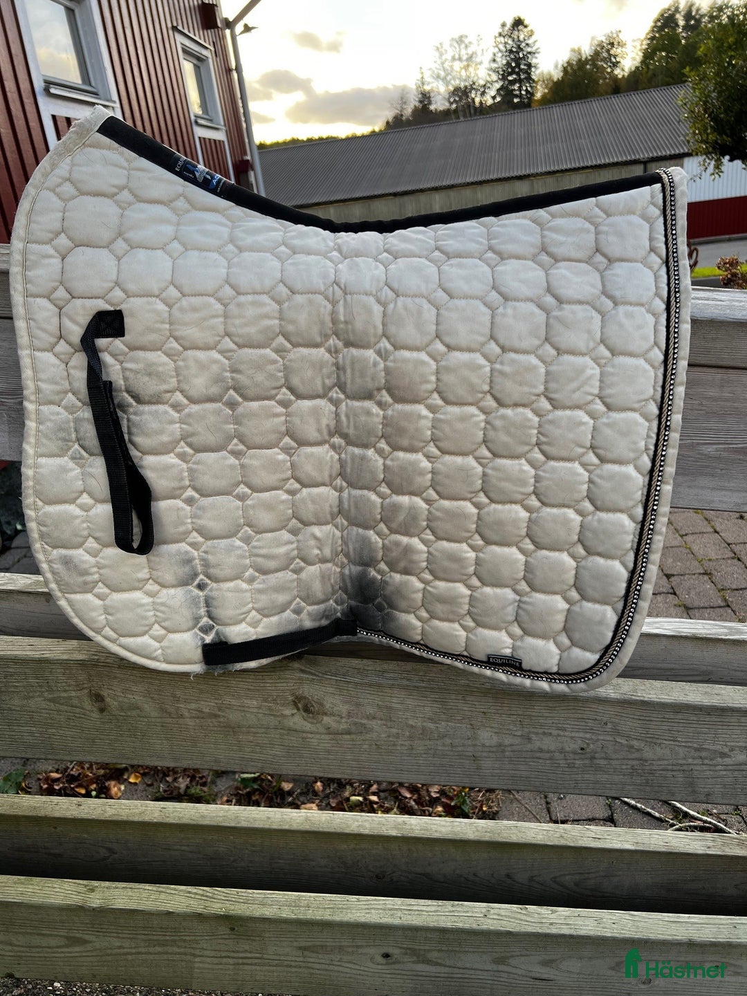 Schabrak & Vojlockar hästutrustning till salu: Fina Equiline dressyrschabrak och huvor  i Kungsbacka - Annons 7