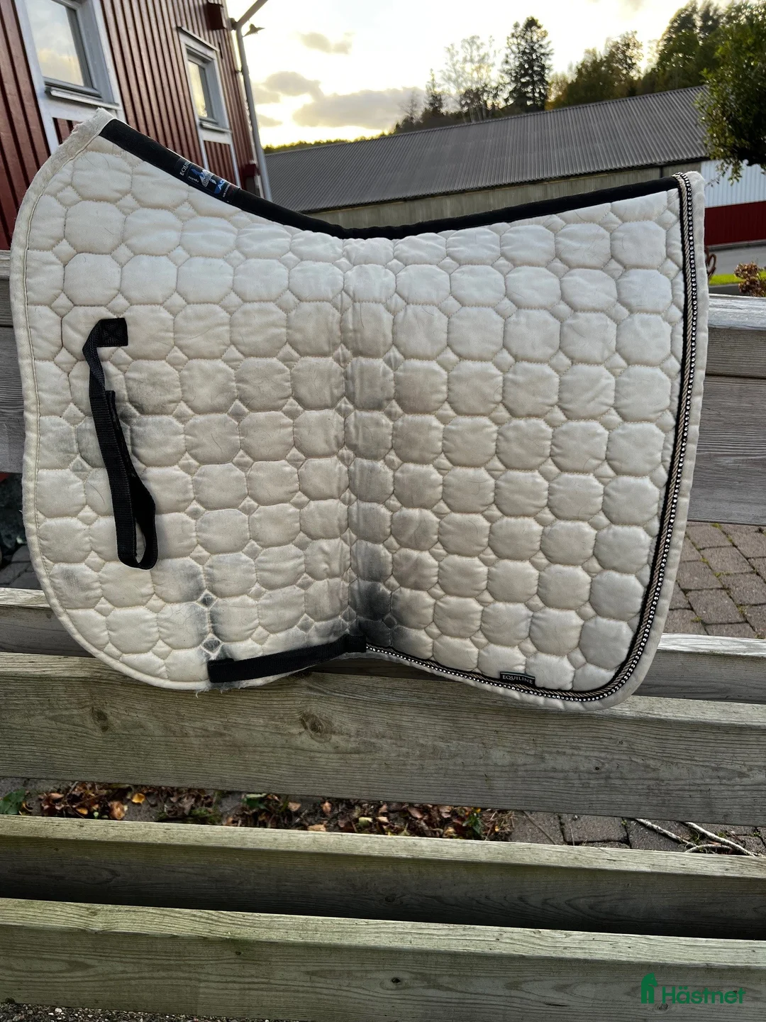 Schabrak & Vojlockar hästutrustning till salu: Fina Equiline dressyrschabrak och huvor  i Kungsbacka - Annons 7