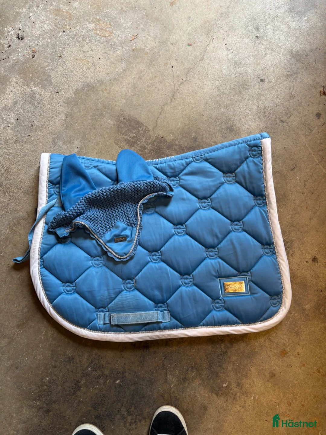 Schabrak & Vojlockar hästutrustning till salu: Equiline, vestrum, equestrian stockholm - Annons 5