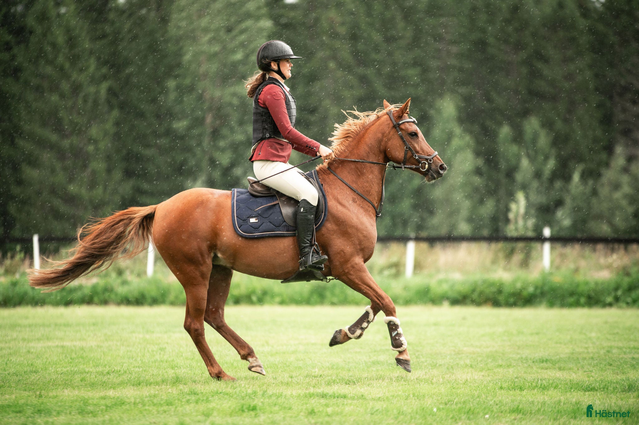  hästar Charmig ponny till salu 🦄 - Annons 2