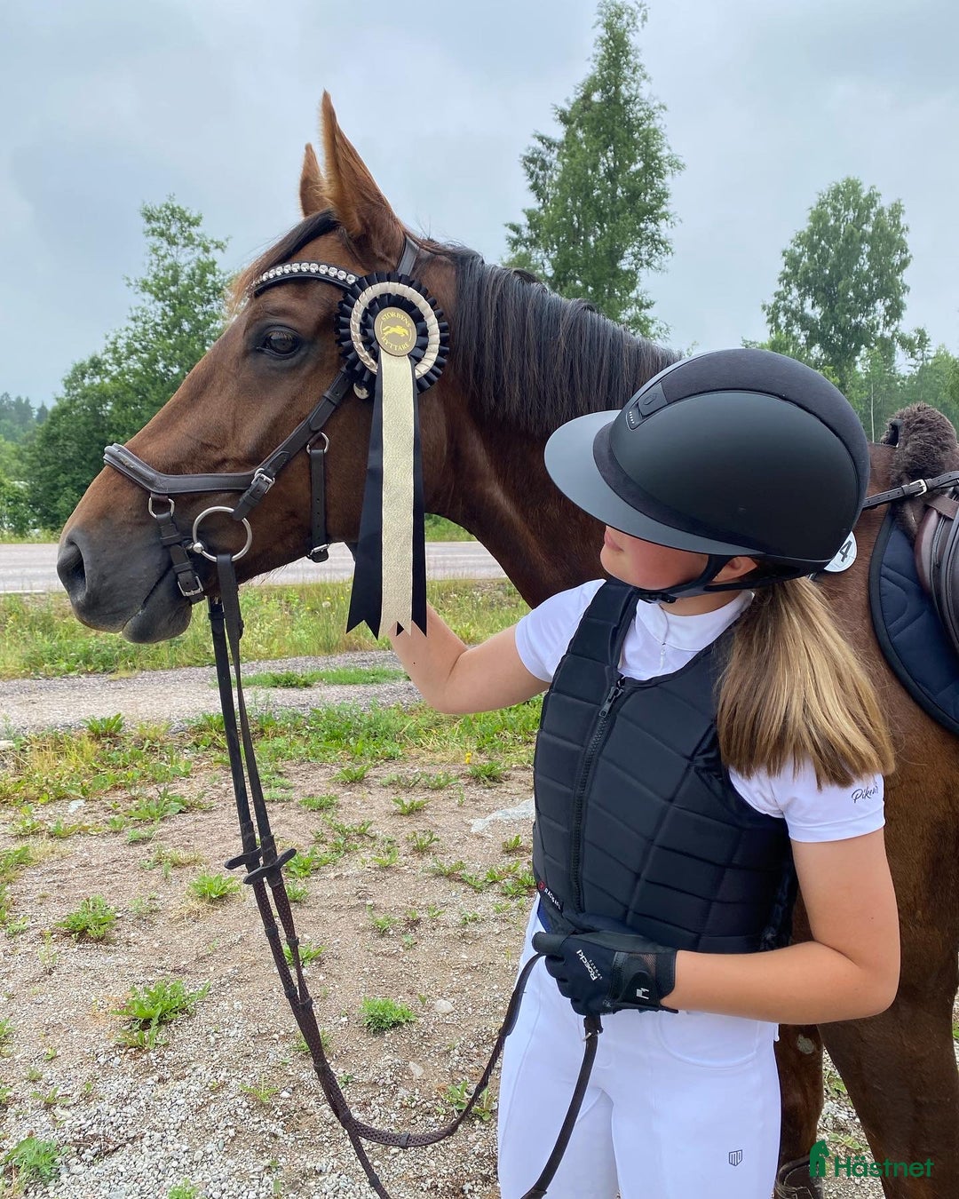 Hoppning hästar till salu: Vackert SWB sto i Sveg - Bild 3