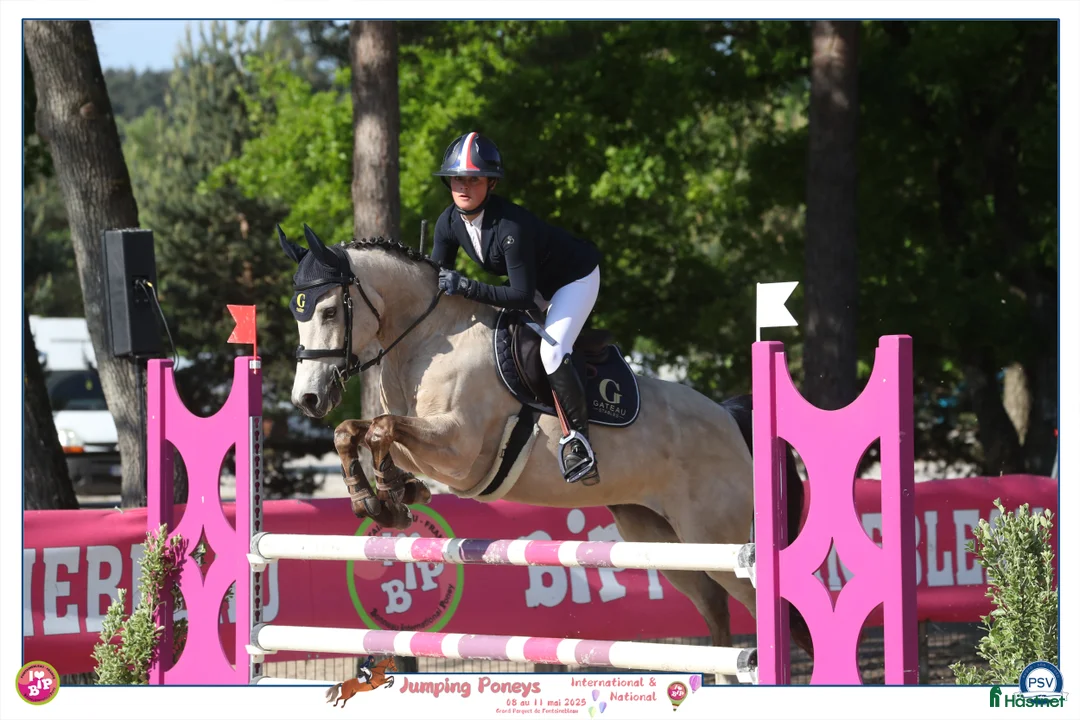 Hoppning hästar till salu: Winning 148 - 110 D Pony at Gateau Stables France  i Stockholm - Annons 5