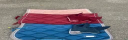 Schabrak & Vojlockar hästutrustning till salu: Fina ES schabrak med matchande huva - Annons 1