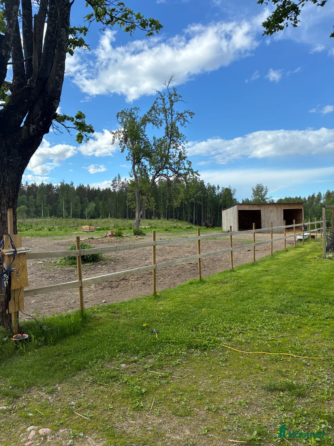  stallplats finnes: Älvbacka gården  i Hedemora - Annons 1