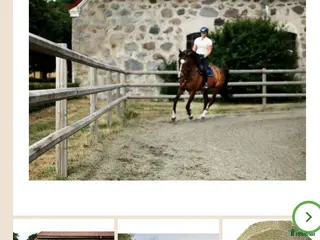 Stallinredning, stängsel & gård övrig utrustning till salu: Octawood - Annons 5