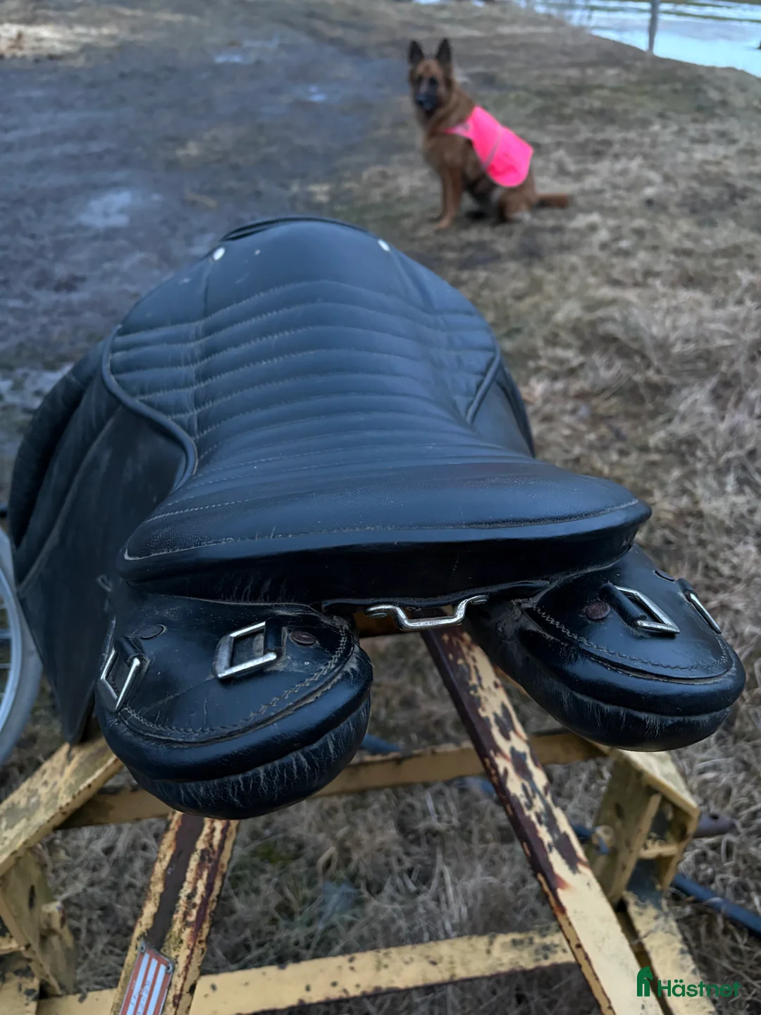 Sadlar hästutrustning till salu: Islandssadel  - Annons 3