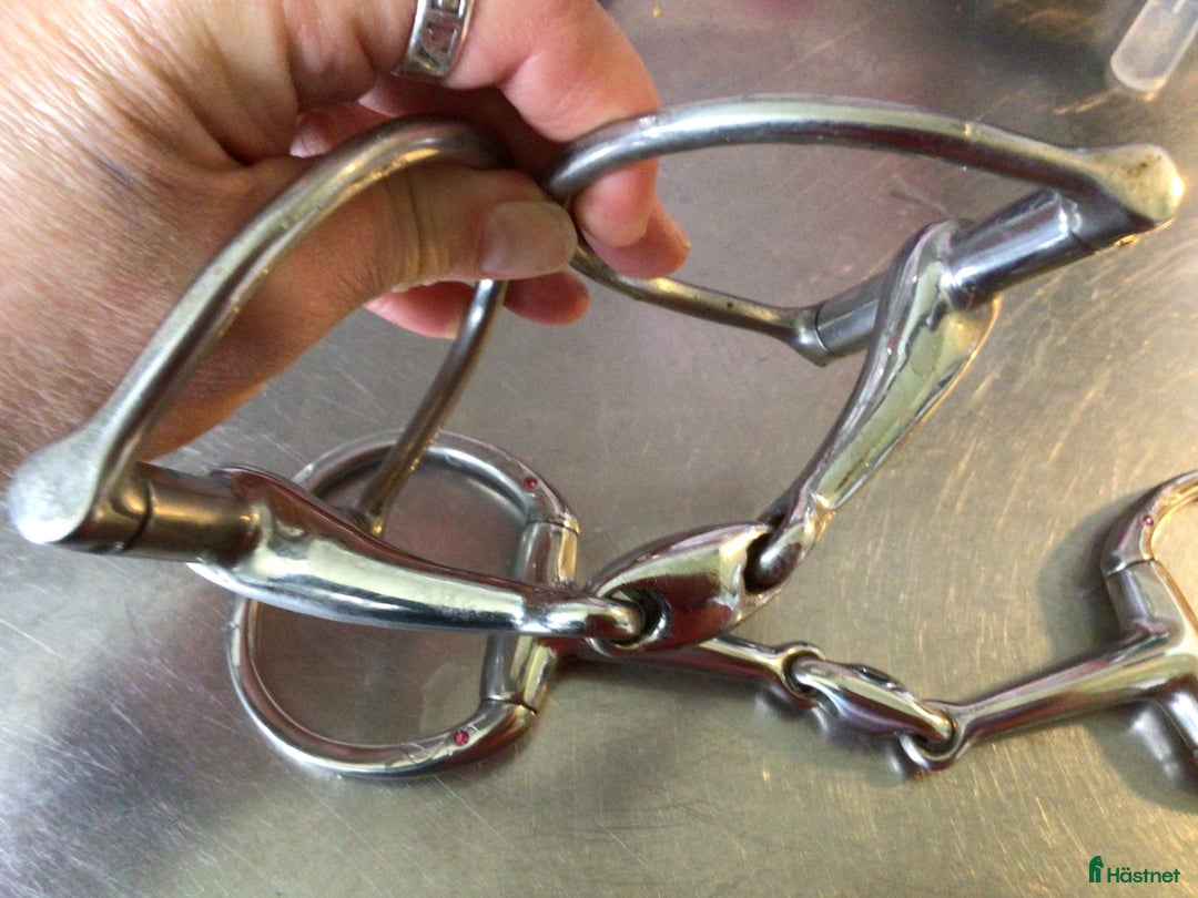 Bett hästutrustning till salu: Metalab bling och ett sprenger Max control 13,5 i Lund - Annons 3