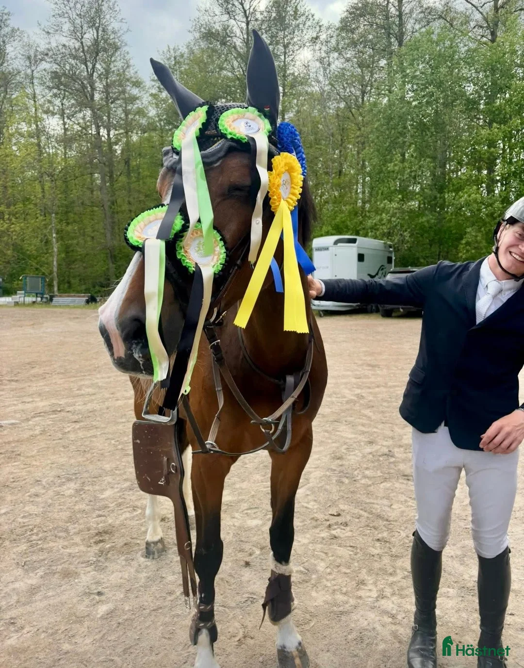  hästservice finnes: Catch Rider/Beridare/Unghästutbildare i Oxelösund - Annons 6