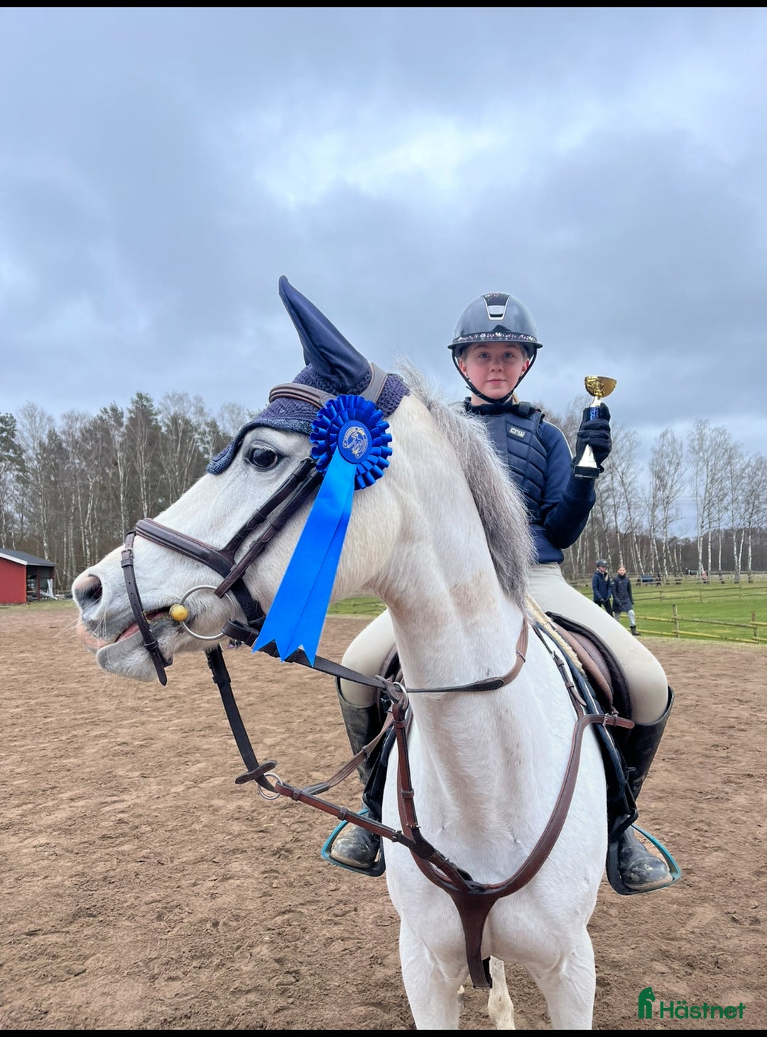 Hoppning hästar till salu: Fin ponny i Ystad - Annons 2