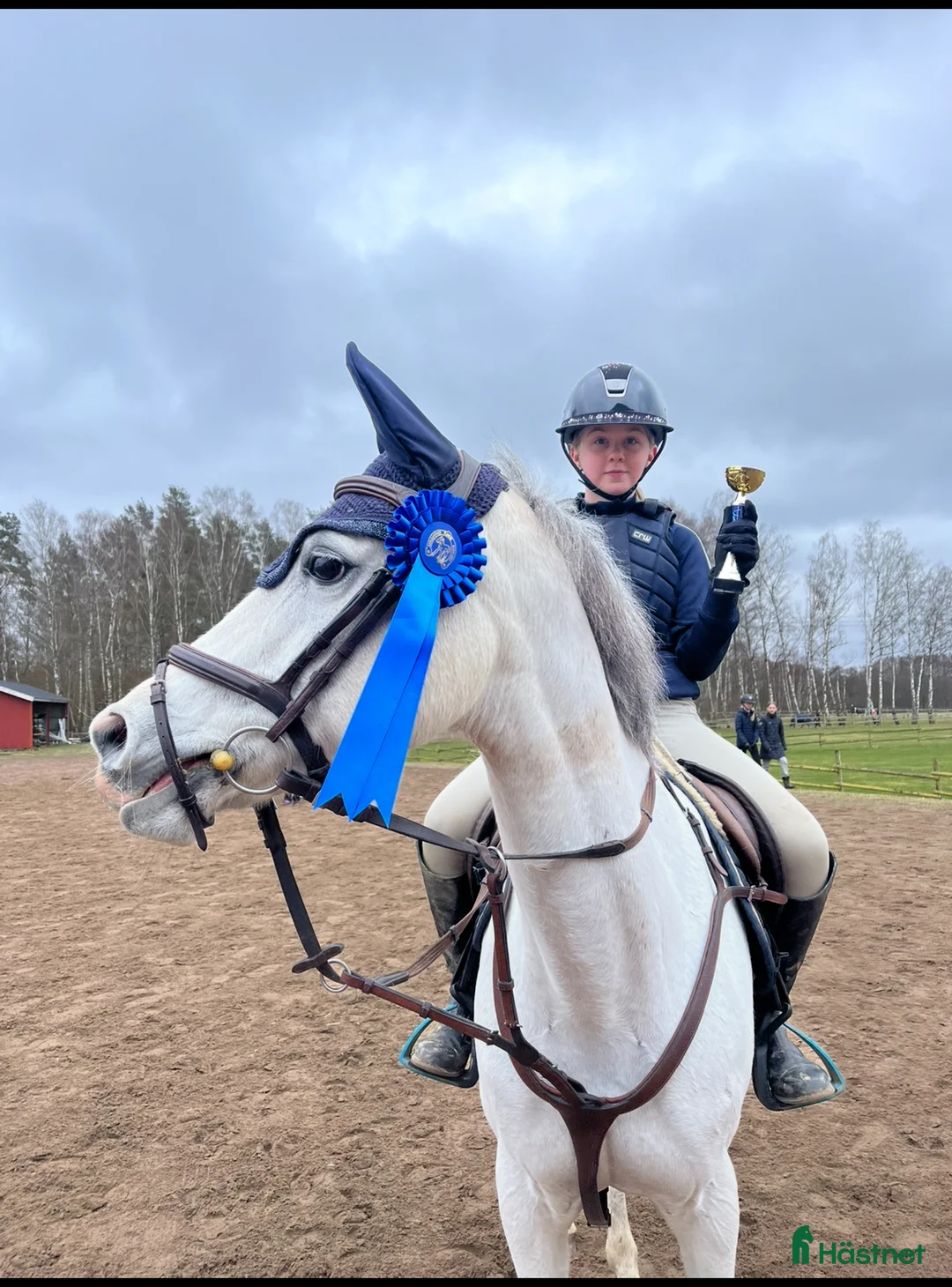 Hoppning hästar till salu: Fin ponny - Annons 2