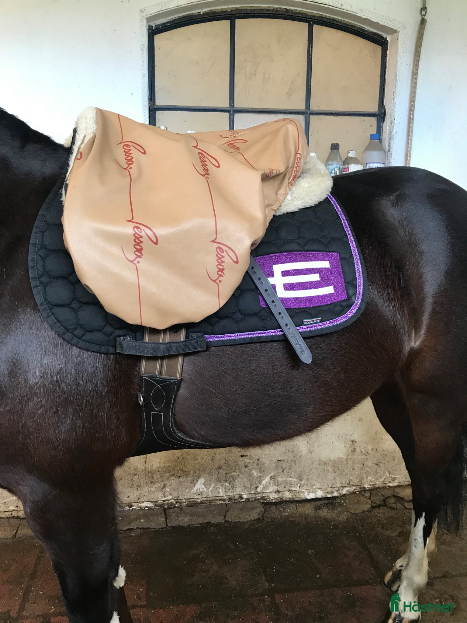 Schabrak & Vojlockar hästutrustning Superfint E logga!💜 - Annons 4