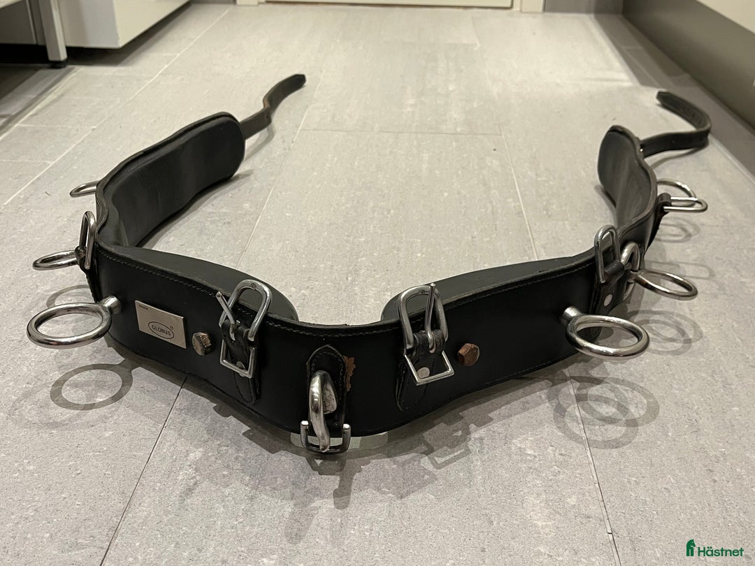 Övrig Hästutrustning hästutrustning till salu: Tömkörningsgjord i Dalby - Annons 2