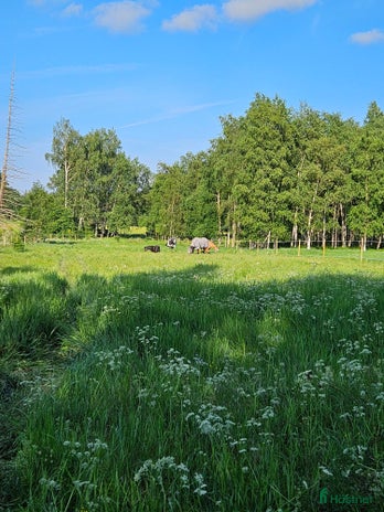 stallplats i Västervik - Annons 15