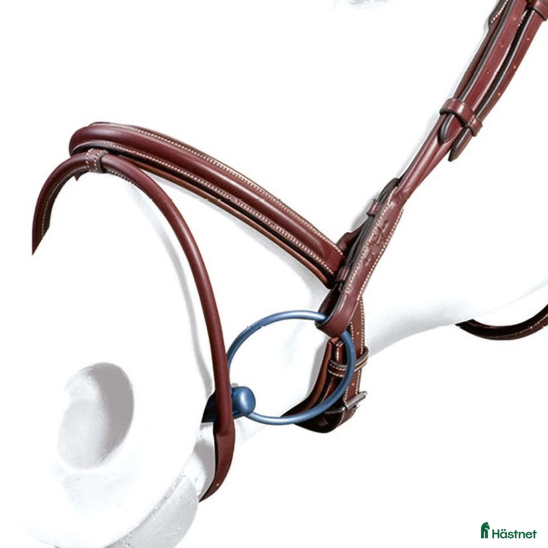 Träns hästutrustning till salu: Equipe träns stl cob i super bra skick  i Göteborg - Annons 2