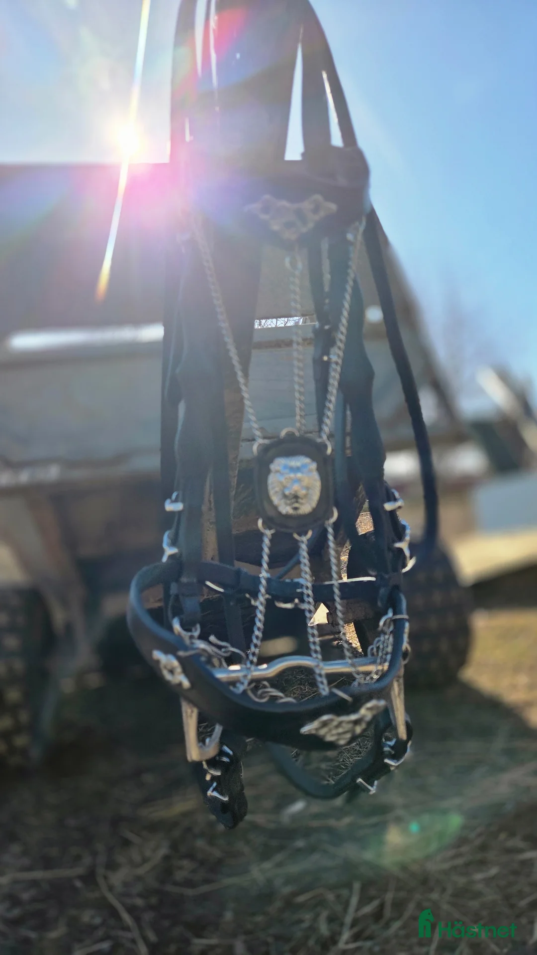 Träns hästutrustning till salu: Fint akademiskt träns i Skövde - Annons 9