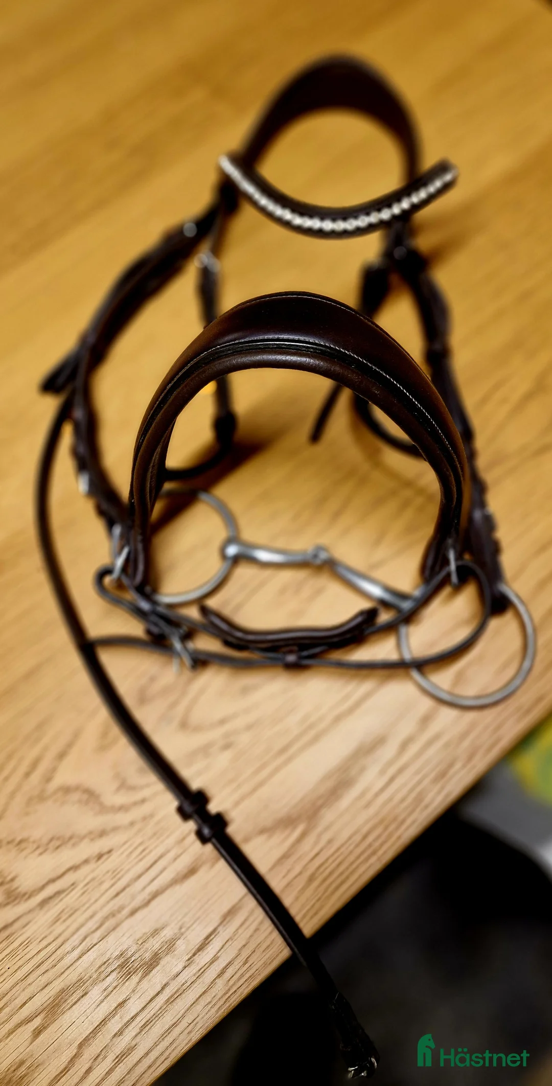 Övrig Hästutrustning hästutrustning till salu: Blanda utrustning i fint skick i Norrköping - Annons 7