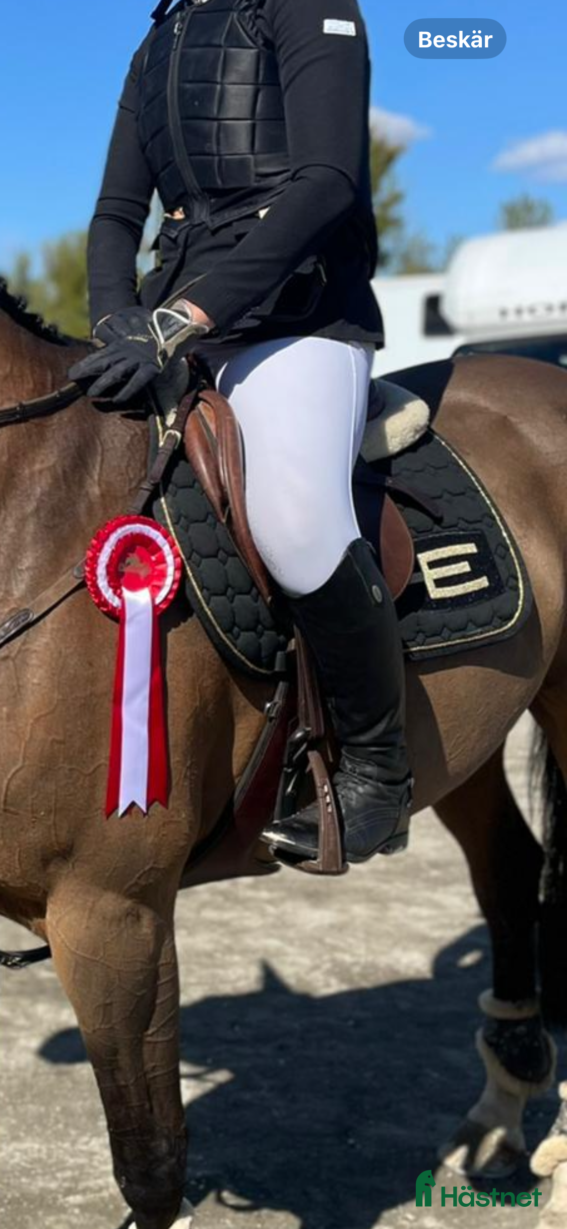 Övrig Hästutrustning hästutrustning till salu: Säljer av lite grejer i Flen - Annons 3