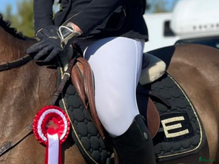 Övrig Hästutrustning hästutrustning till salu: Säljer av lite grejer i Flen - Annons 1